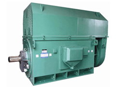 金湖Y系列6KV高压电机